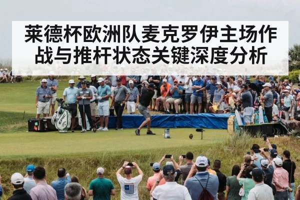 golf tournament crowd cheering（hth）